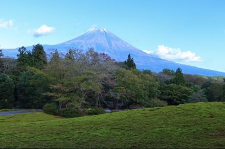 苔畑と富士山